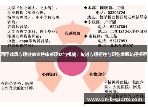 西甲球员心理健康支持体系现状与挑战：促进心理韧性与职业发展路径探索