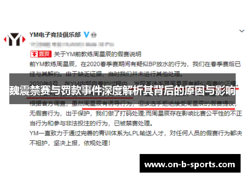 魏震禁赛与罚款事件深度解析其背后的原因与影响